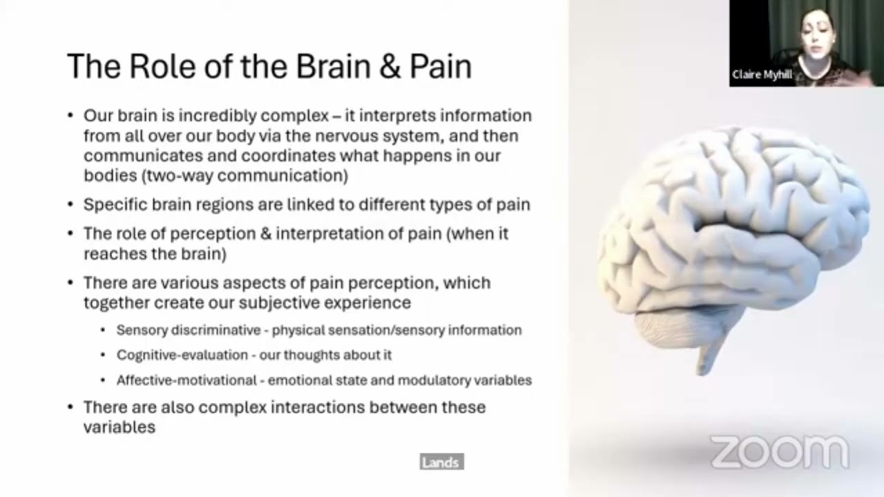 Webinar 16: Mental Health and Chronic Pain