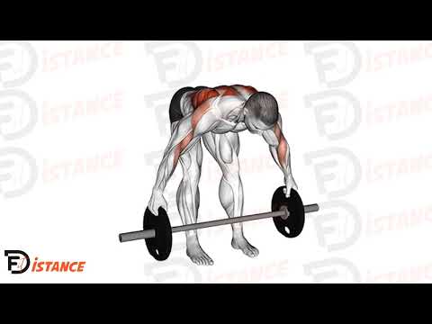 Rowing barre prise disque - Exercice Rowing barre prise disque en vidéo