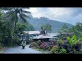 Rainy day in beautiful Indonesia||beautiful village life||indoculture