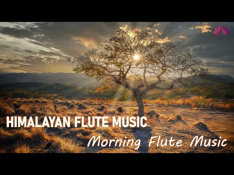 Morning Flute Music | Himalayan Flute Music | Meditation Music | (बाँसुरी) Aparmita Ep. 38