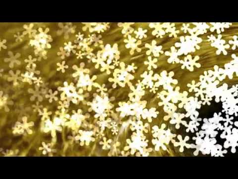 Razor 1911 - Future Number 2 (Win32) 2001