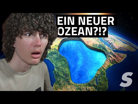 Gibt es bald einen neuen Ozean? | Palex_live Reaction
