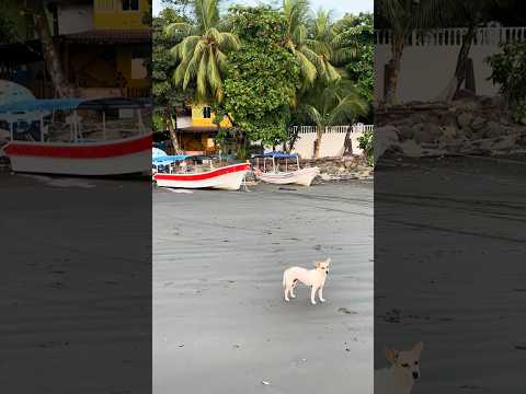 Playa de Palo seco veraguas