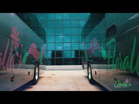 The Future of Public Transportation in Belize - Floralia!