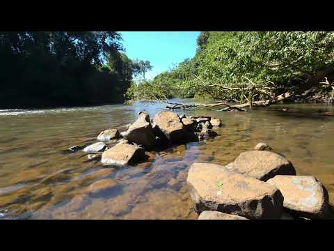 Natureza Relaxante, Rio Feliciano - São Domingos, Santa Catarina.