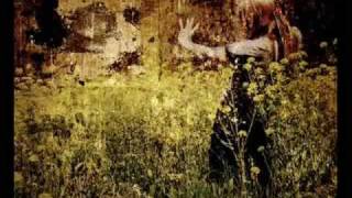 Hammock - This Kind Of Life Keeps Breaking Your Heart