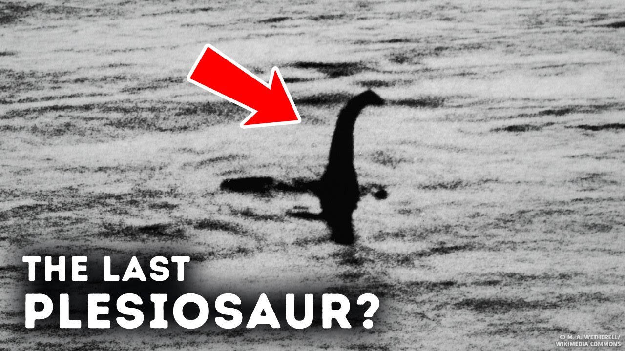 Scientists Finally Solved the Loch Ness Mystery