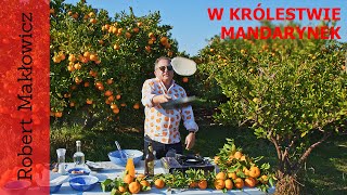 królestwie mandarynek (odc. 113)