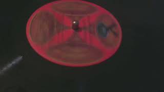 The Stanley Brothers - How Mountain Girls Can Love - bluegrass LP