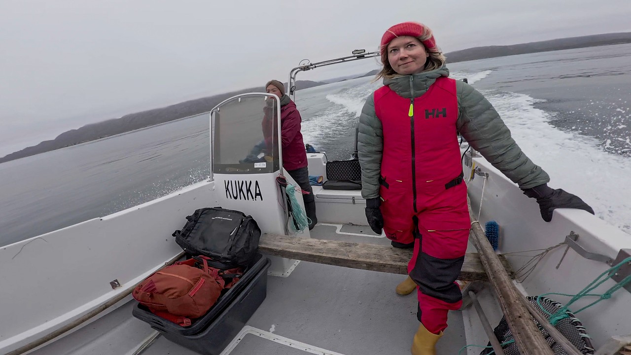 A Day of Seal Hunting With the Locals in Greenland
