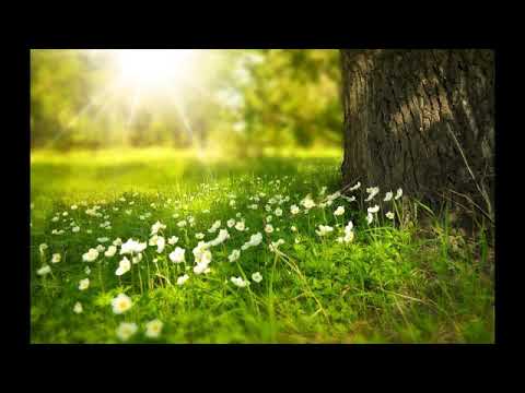 Podcast Channeling 29 /  Deine Zukunft