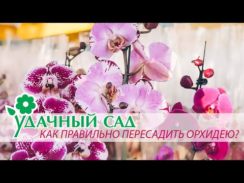 Удачный Сад Интернет Магазин Официальный Сайт