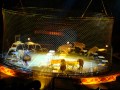 Ringling Brothers Jun 2012