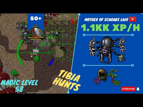 MAGE SOLO LVL 50+ 1.1KK XP/H - ML 58 - Mother of Scarabs Lair - TIBIA HUNT