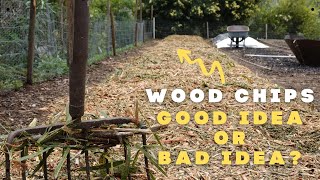 Is Wood Chip Gardening Worth It AND Suggestions for Better Systems