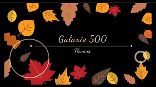 GALAXIE 500 -  Flowers - Lyrics for Bela Vista Video
