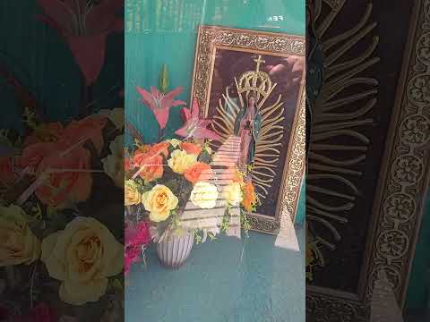 vorgen  mi comadre aurelia la puso. de santa fe