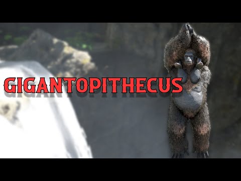 COMO TAMEAR GIGANTOPITHECUS y TODAS SUS HABILIDADES (PC, PS y XBOX) - ARK