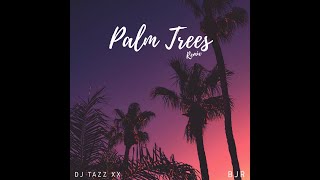 Palm Trees - BJR Remix Music Video