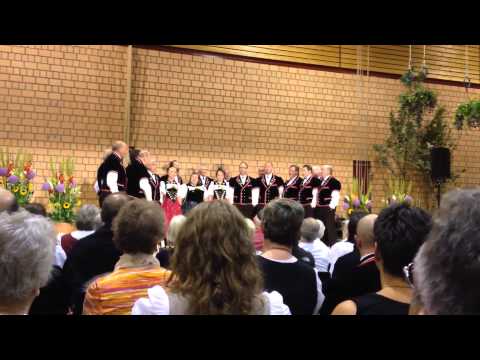 Davos, Jodlerfest 2014, Vorträge, JDCH Diemerswil