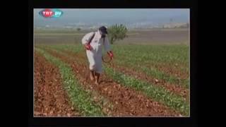 Bir sevdanın adı GAP ( Güneydoğu Anadolu Projesi )