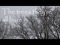 Chris Foster - English Folk Musician