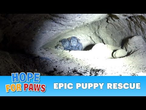Epic puppy rescue - 18 feet into the earth!!!  Dangerous Hope For Paws rescue! #puppy