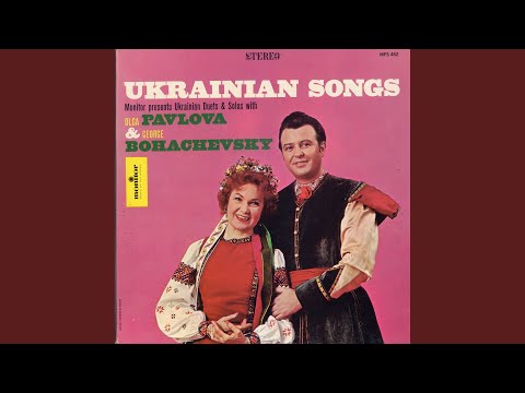 Stoyit Yavir (The Sycamore Maple)