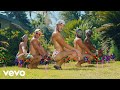 John Duff Hokie Pokie Official Video
