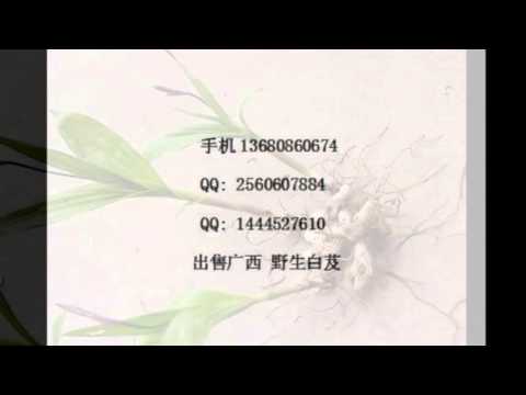 白及粉, 白及图片, 白芨的功效与作用