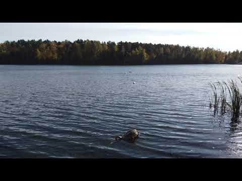 Rogoźnik i okolice -  październik 2021