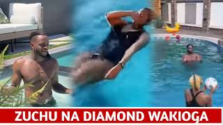 Download lagu DIAMOND NA ZUCHU WAKIOGELEA PAMOJA UPENDO WAONGEZEKA mp3
