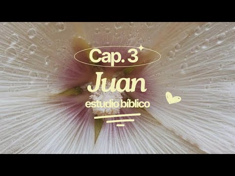 Juan Capítulo 3 - Estudio Bíblico