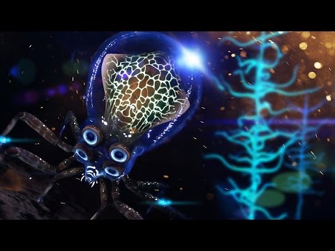 A NEW TERROR | Subnautica #35