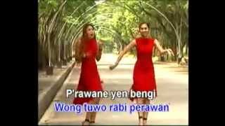 Download lagu Lagu Dangdut / Ohello Sisters - Cucak Rowo mp3 Download lagu Lagu Dangdut / Ohello Sisters - Cucak Rowo mp3