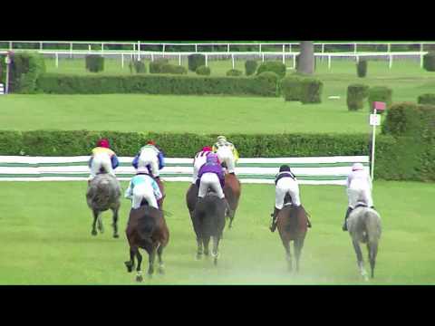 BA 21.5.2017 - Dostihy 7 - Cena Shreka