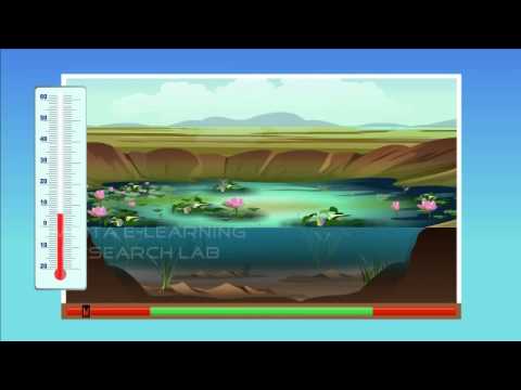 image-What is range of tolerance in biology?