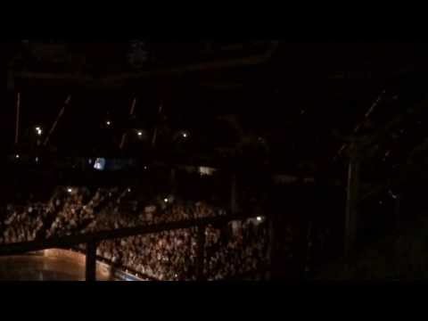 Adler Mannheim Einlauf 28.12.13