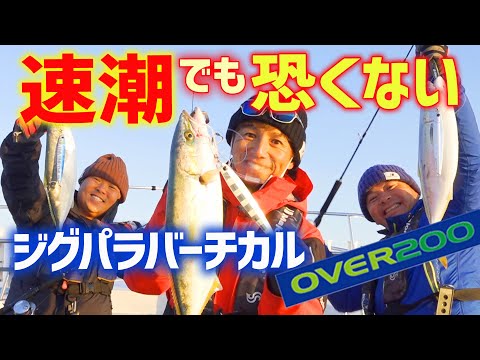 速潮でも恐くない！ジグパラバーチカルOVER200｜伊丹章のGO!FISHING