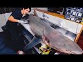 It S Over 100kg Breaking Down Sicklefin Lemon Shark That Also Attacks Humans