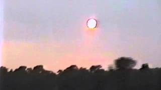 Pacific 231 & Vox Populi! - Dumai