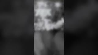 Download lagu The Gig Cartel presents FM Acoustic mp3