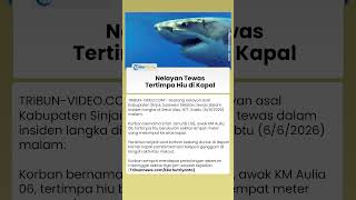 Nelayan Asal Sinjai Tewas seusai Tertimpa Hiu 4 Meter yang Lompat ke Atas Kapal