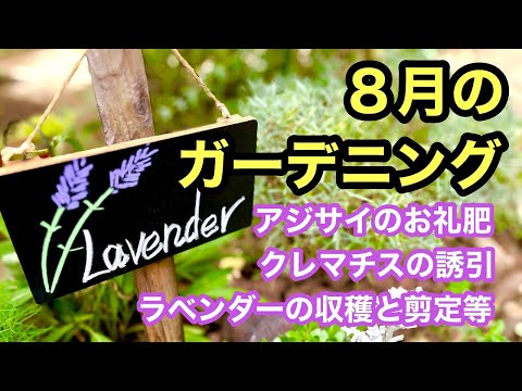 嵐の前後にプールを維持するにはどうすればよいですか?きれいな水を見つけるために知っておくべきことすべて  庭園