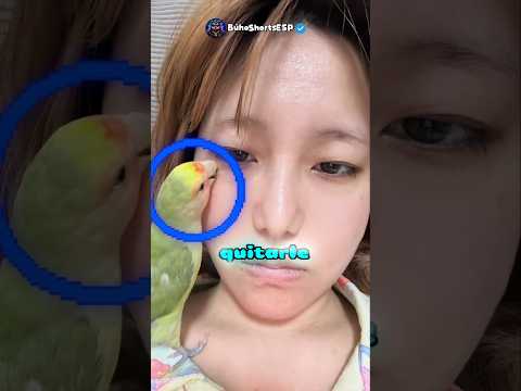 ELLA MORDIÓ LA CARA DE SU DUEÑO! 😱🦜 #curiosidades #loro #pets