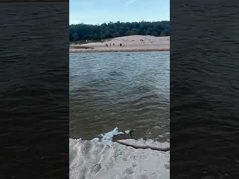 Lake Conjola Manual Opening 24-04-2024 #youtubeshorts #shorts #youtube #yt #conjola #shoalhaven