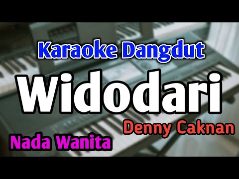 Widodari - Karaoke || Nada Wanita || Versi Koplo || Audio HQ || Live Keyboard