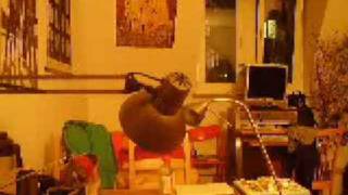 Emiliana Torrini - Birds