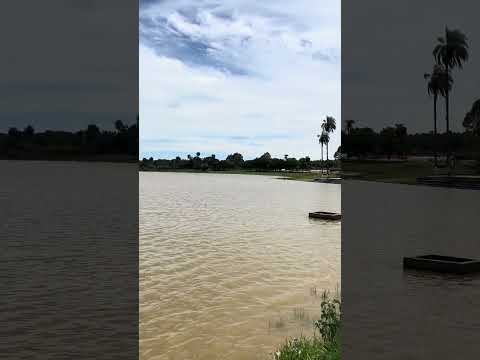 São João da Lagoa - MG #minasgerais #natureza