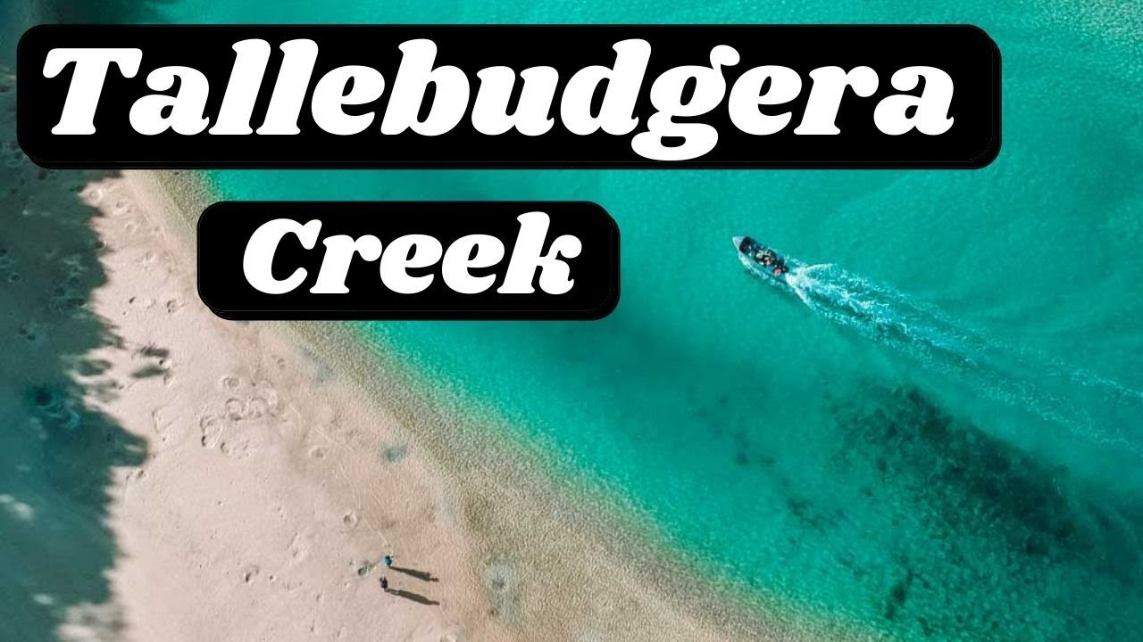 Your guide to exploring Tallebudgera Creek.